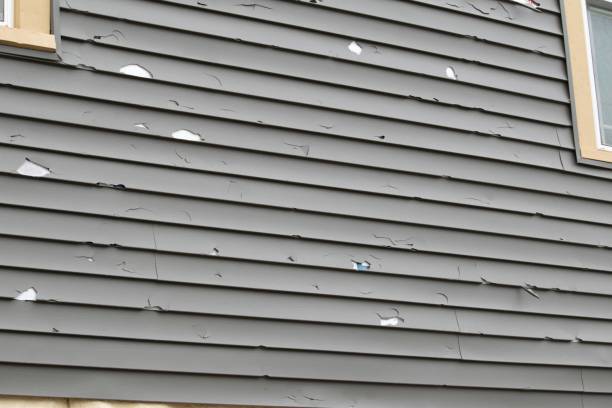 Affordable siding repair and maintenance services in Blanding, UT
